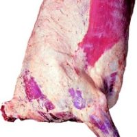 一块冷冻的牛前四分之一部位