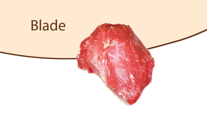 mt-gallery-beef-02