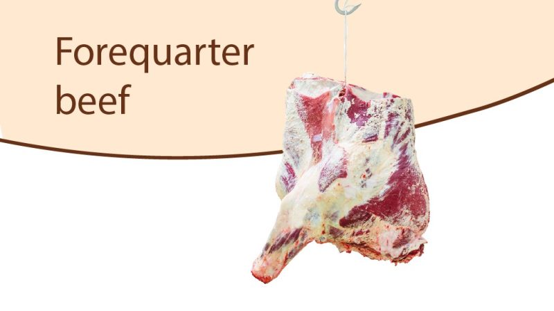 mt-gallery-beef-16