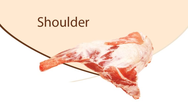 mt-gallery-sheep-cuts-08